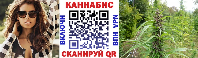 Шишки марихуана сатива  Тырныауз 